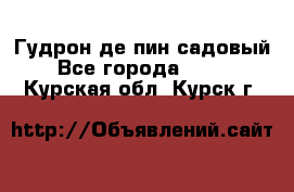 Гудрон де пин садовый - Все города  »    . Курская обл.,Курск г.